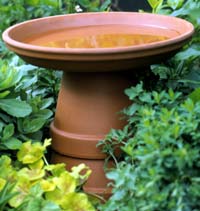l_birdbath.jpg