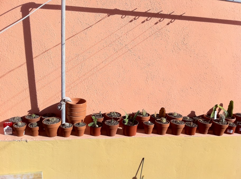 la%20foto.JPG