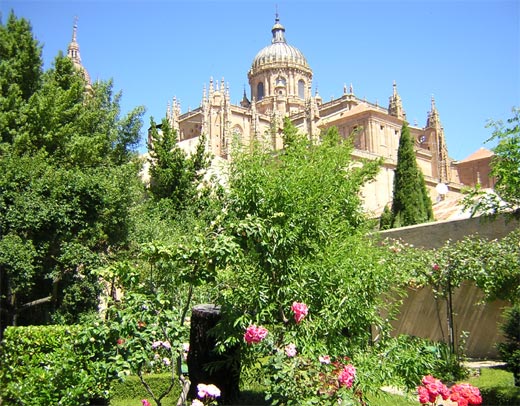 La Catedral desde el Huerto de Calixto y Melibea.jpg