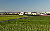 la-huerta-valenciana-2.jpg