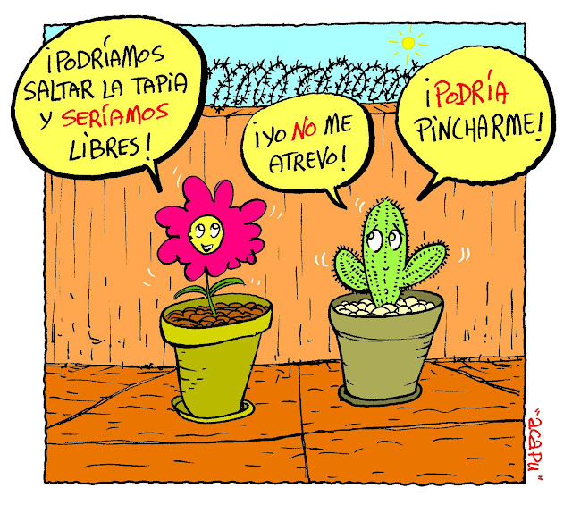 la+tapia.JPG