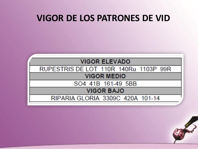 la-uva-y-el-vino-el-reto-rescatado-por-luis-fernando-heras-portillo-24-638.jpg