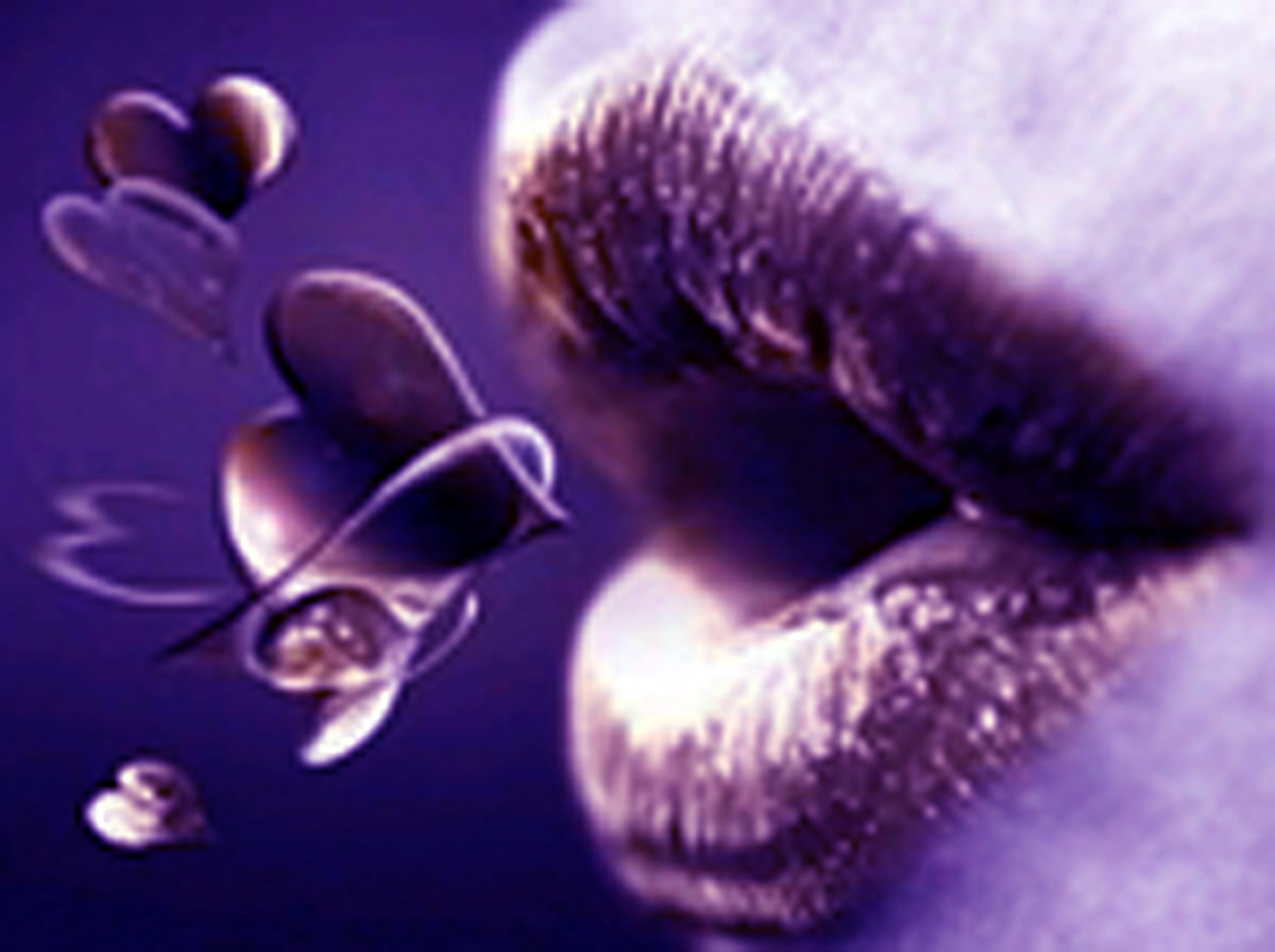 labios-lilas-volteados.jpg