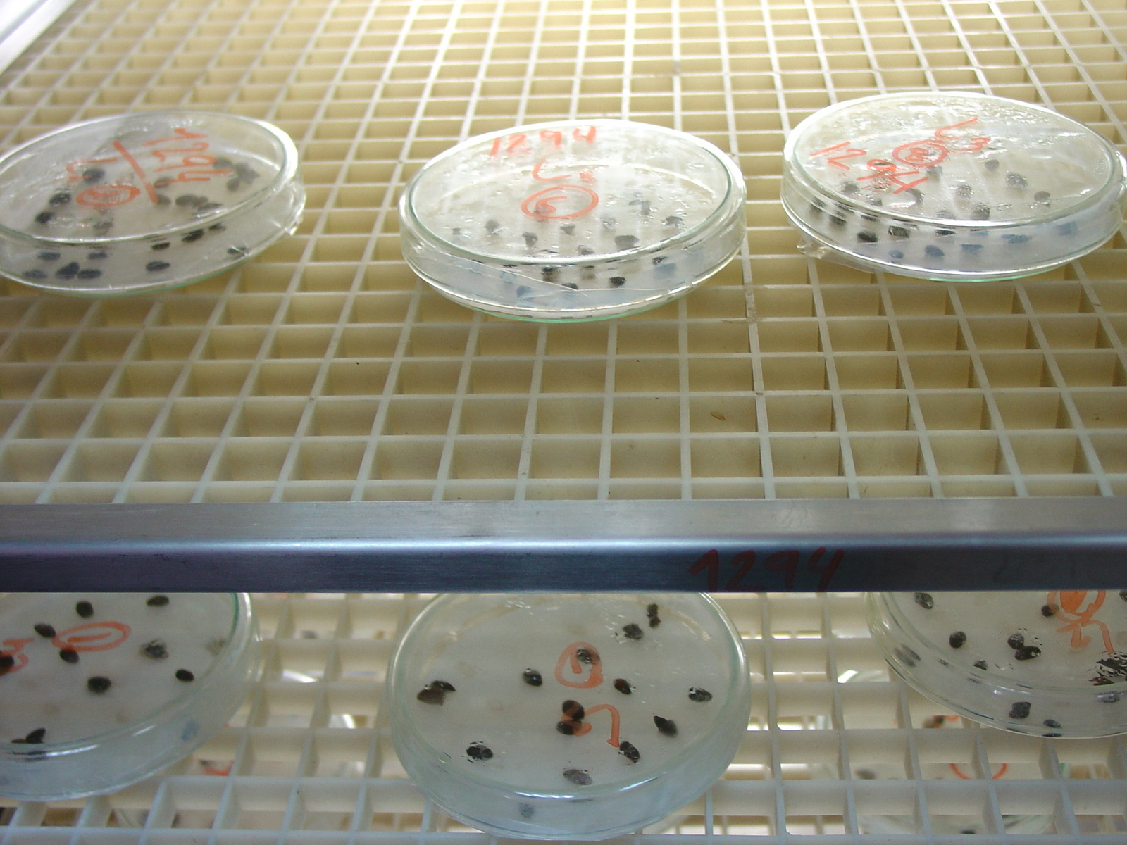 laboratorio012.jpg
