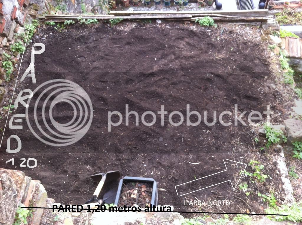 lafoto-copia_zps71121638.jpg