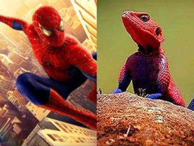 lagarto-spiderman1.jpg