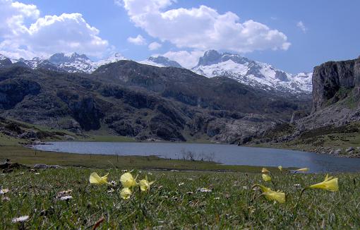 Lago_Covadonga.JPG