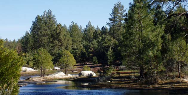 laguna_hanson.jpg