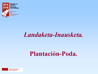 Landaketa.gif
