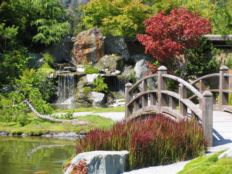 landscaping6_big.jpg