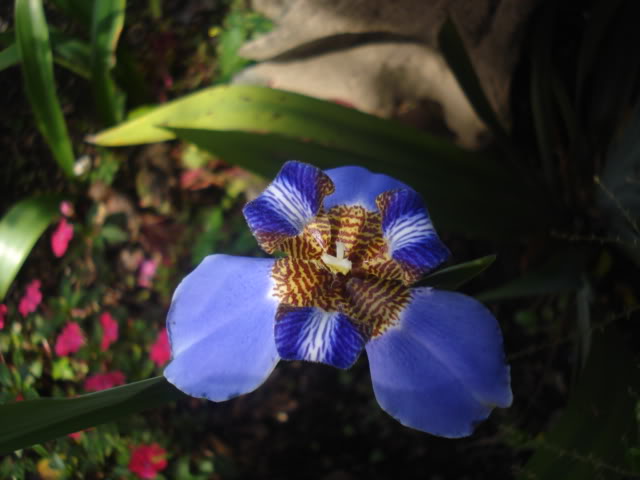 lasotras024.jpg
