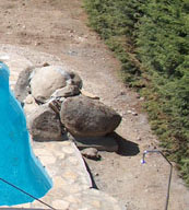 lateralcascada-arriba.jpg