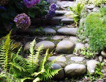 laundry-path-stone-ferns-hydrangeas.jpg