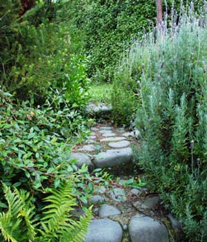 laundry-path-stone-lavender-ferns.jpg