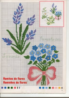 LAVANDA.JPG