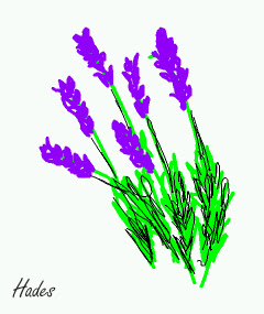 lavanda.jpg