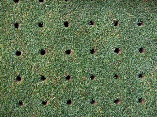 lawn-aeration-holes.jpg