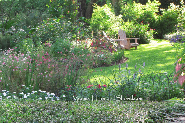 Lawnless_0016912.jpg