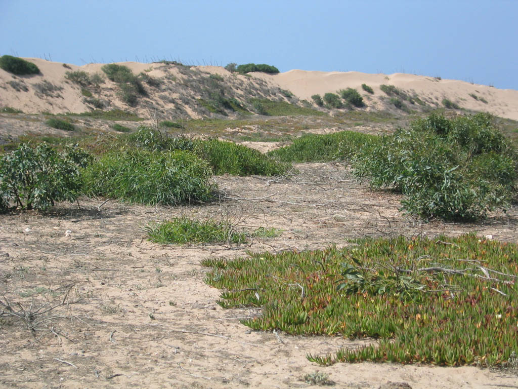 le%20maroc%202003%20087.jpg