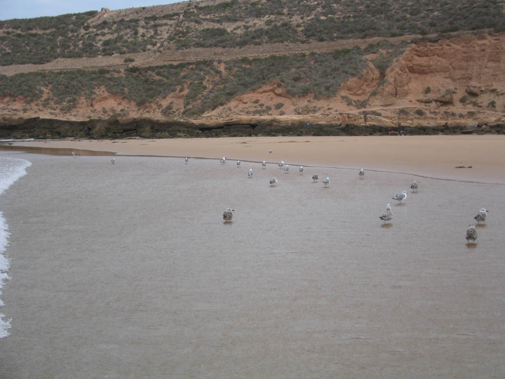 le%20maroc%202003%20371.jpg