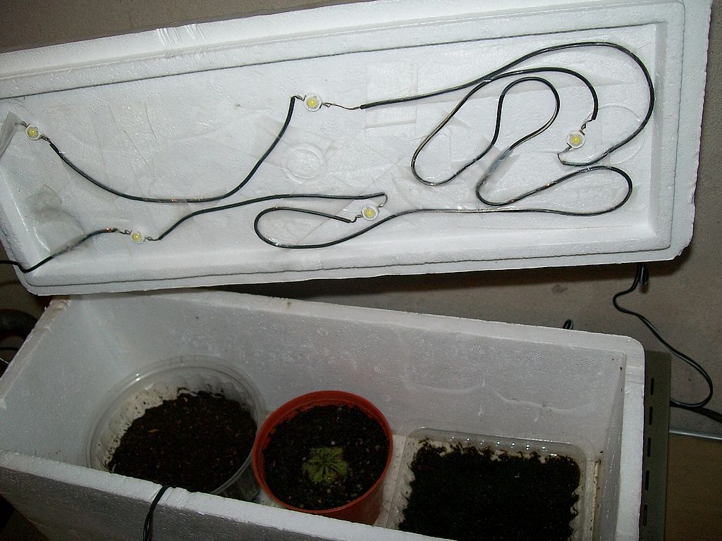 Leds_zpse455ef31.jpg