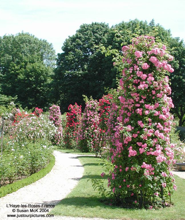 l'hayelesroses5960.jpg
