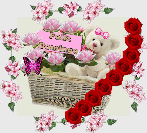 lHmyJUrhUR0xXtfRmgZXP9vsYG7AbO3eIj_VTN_-JlmsqmwapPoAe2Nc7VcmOThI-Ni_-hWZhuyoapnq25ni7lFtQsw=s0-d.gif