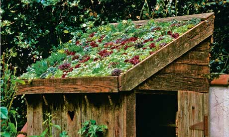 Lia-Leendertz-on-sedum-ro-001.jpg