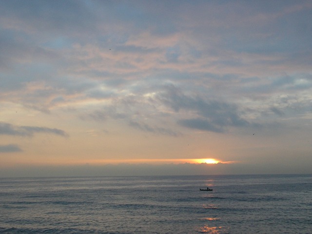 Lila_010.jpg