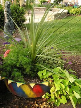 limaohiotireplanter.jpg