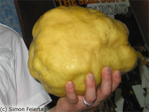 Limon_Real_3.jpg