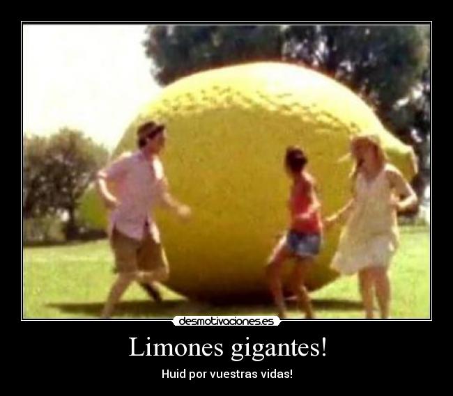 limoness.jpg