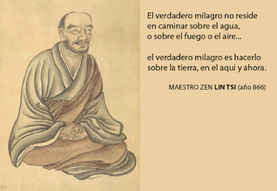 lintsi.jpg