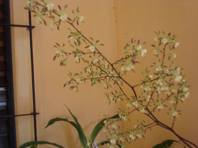 lkj006.jpg