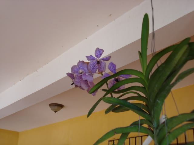 lkj014.jpg