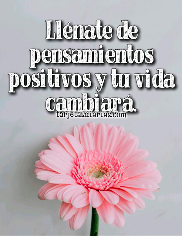 LLENATE-DE-PENSAMIENTOS-POSITIVOS-Y-TU-VIDA-CAMBIARA.jpg