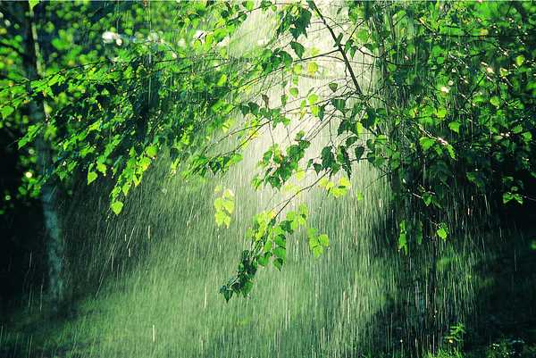 lluvia2.jpg