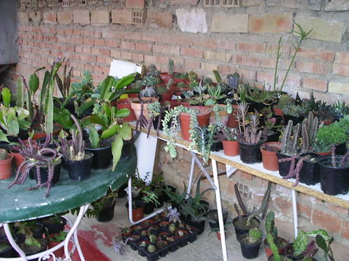 lluvia_031.JPG