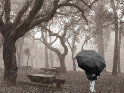 lluvia_en_el_parque-9100.gif