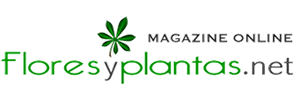 logo-flores-y-plantas.png