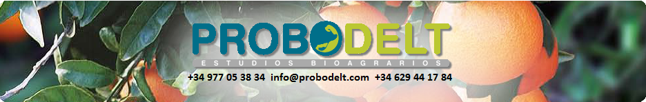 logo-top.png