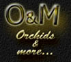 Logo03.jpg