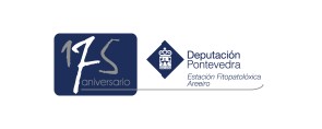 logoareeiro.jpg