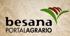 logobesana.jpg