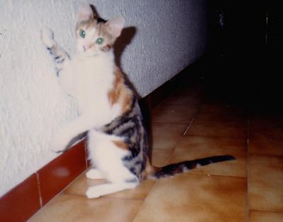 lola.jpg