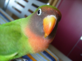 lola_110.jpg