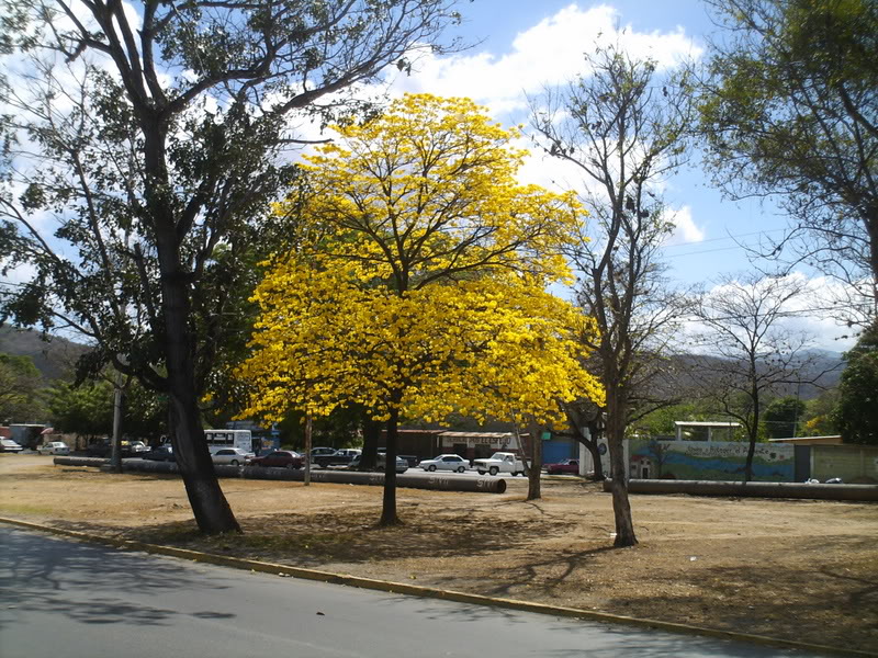 lomaysabacual012.jpg