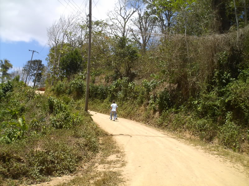 lomaysabacual031.jpg