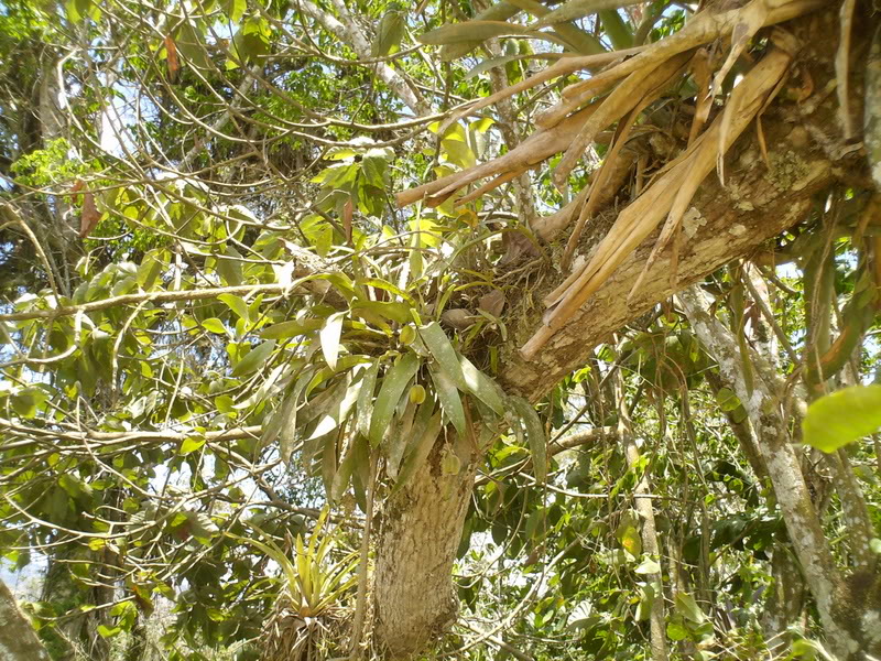 lomaysabacual036.jpg