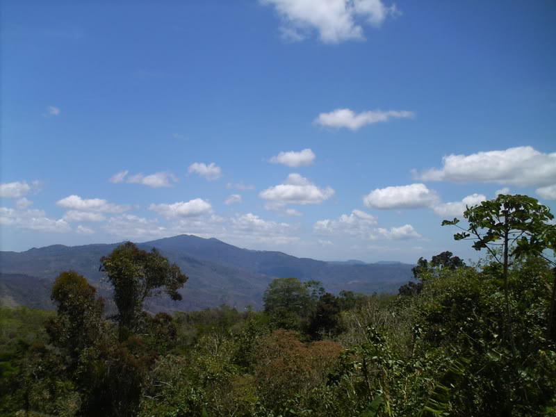 lomaysabacual048.jpg